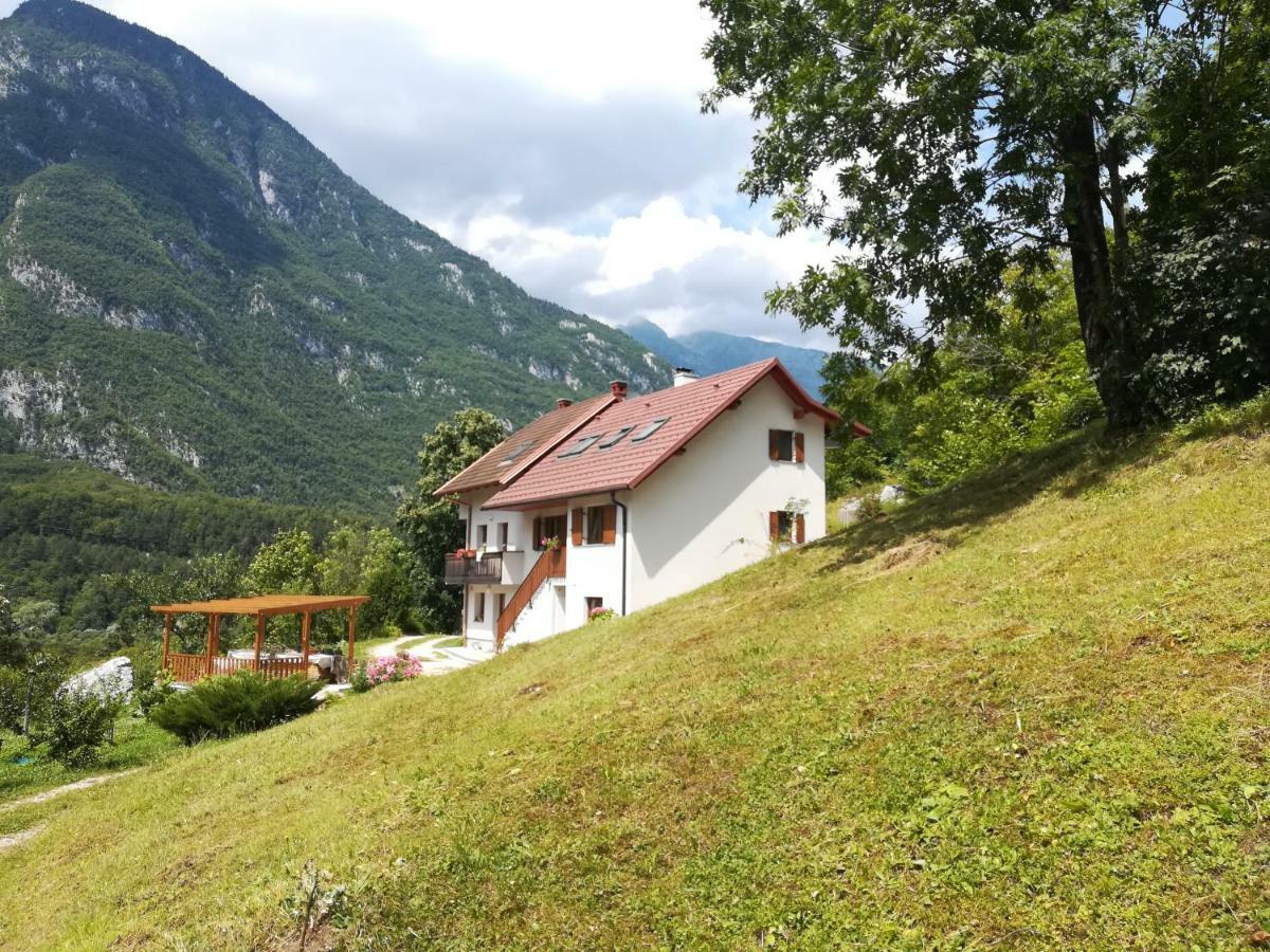 Apartma Ana Ida Srpenica エクステリア 写真